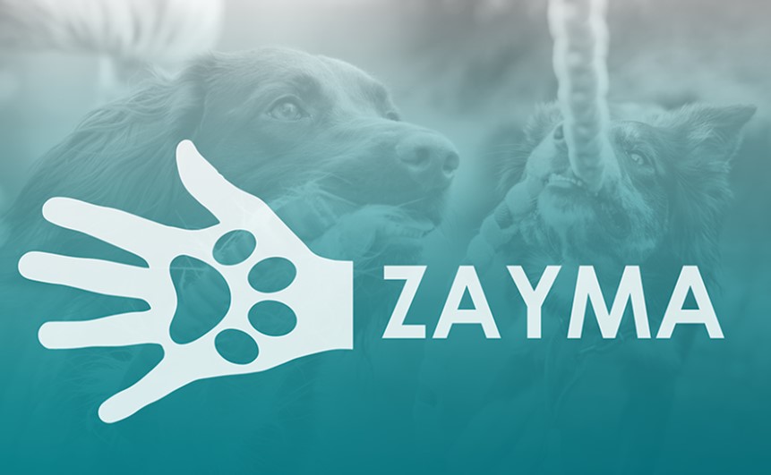 Zayma hundelegetøj