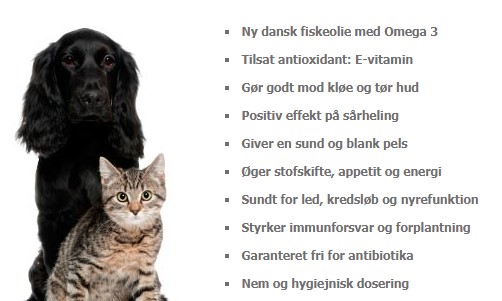 Billede skaga olie