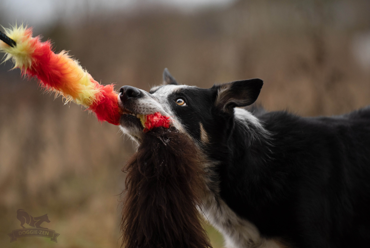 Doggie-zen belønningslegetøj