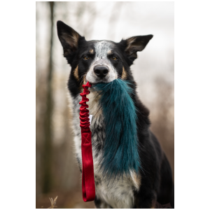 Doggie-zen fake fur tug toy