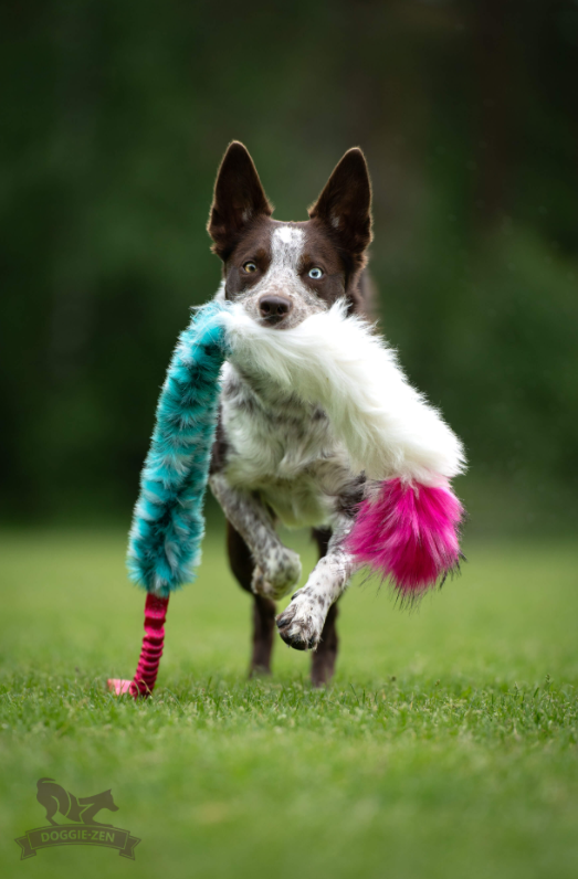 Doggie-Zen Sheepskin Chaser Tug L - Trækkelegetøj til træning