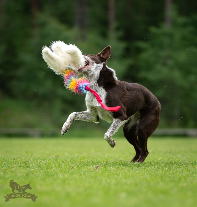 Doggie-Zen Bungee Octopus Tug L- Belønnigslegetøj - Billede 2
