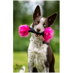 Doggie-zen squeaker
