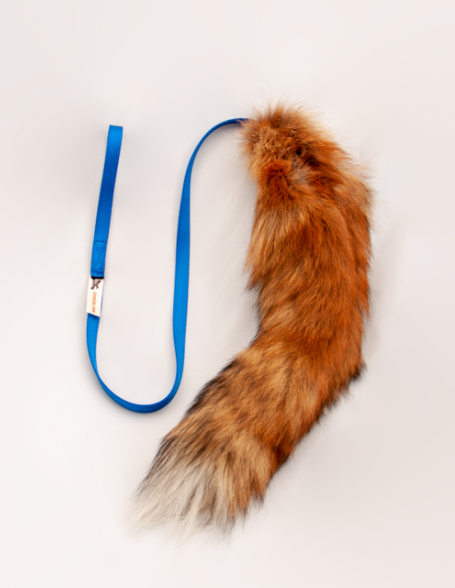 Doggie-zen fox tail