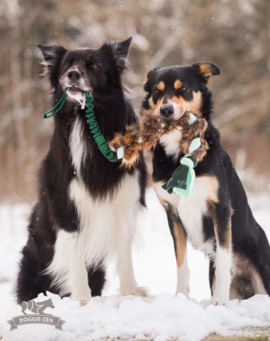 Doggie-Zen fleece og rævepels - Legetøj til hundetræning - Billede 2