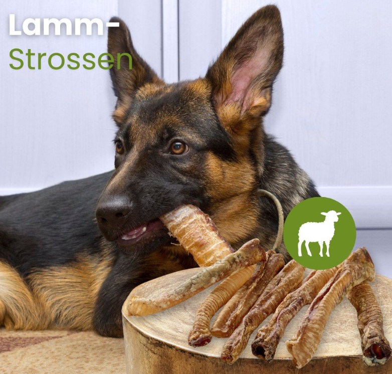 Lammeluftrør - 100% natursnack - Højt proteinindhold - Billede 2