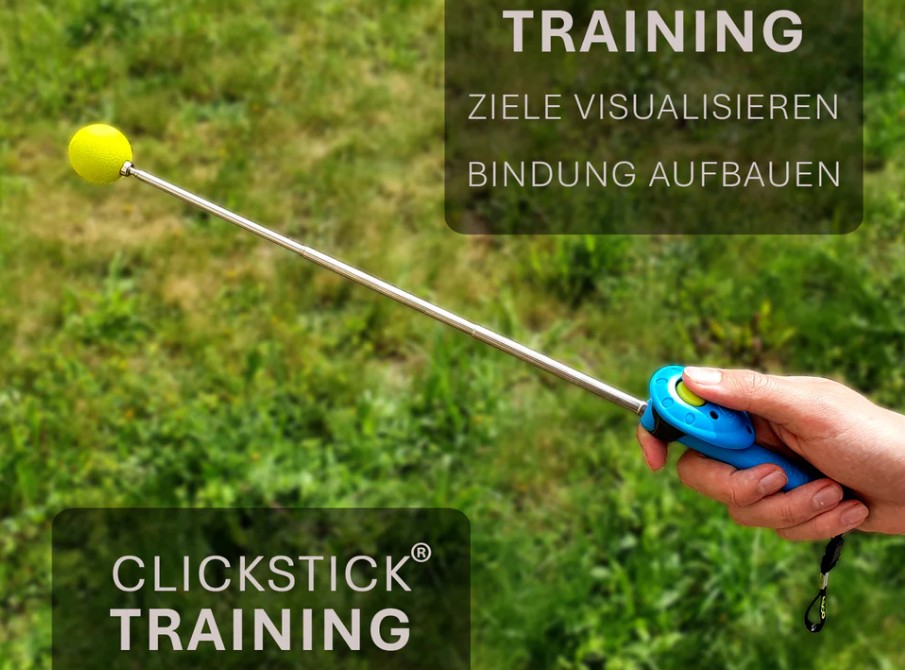 ASCO ClickStick - Klikker og targetstik i en - Hundetræning - Billede 6