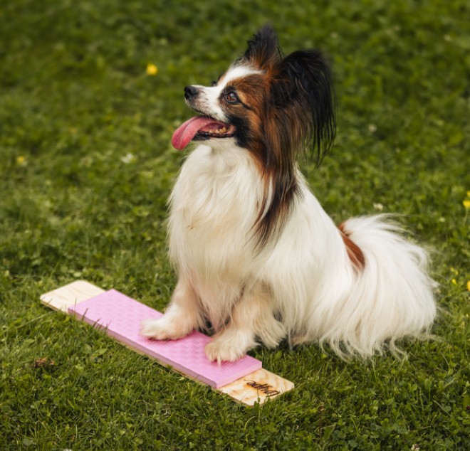 Løype Target Strivee Pink- Hundetræning - Billede 2